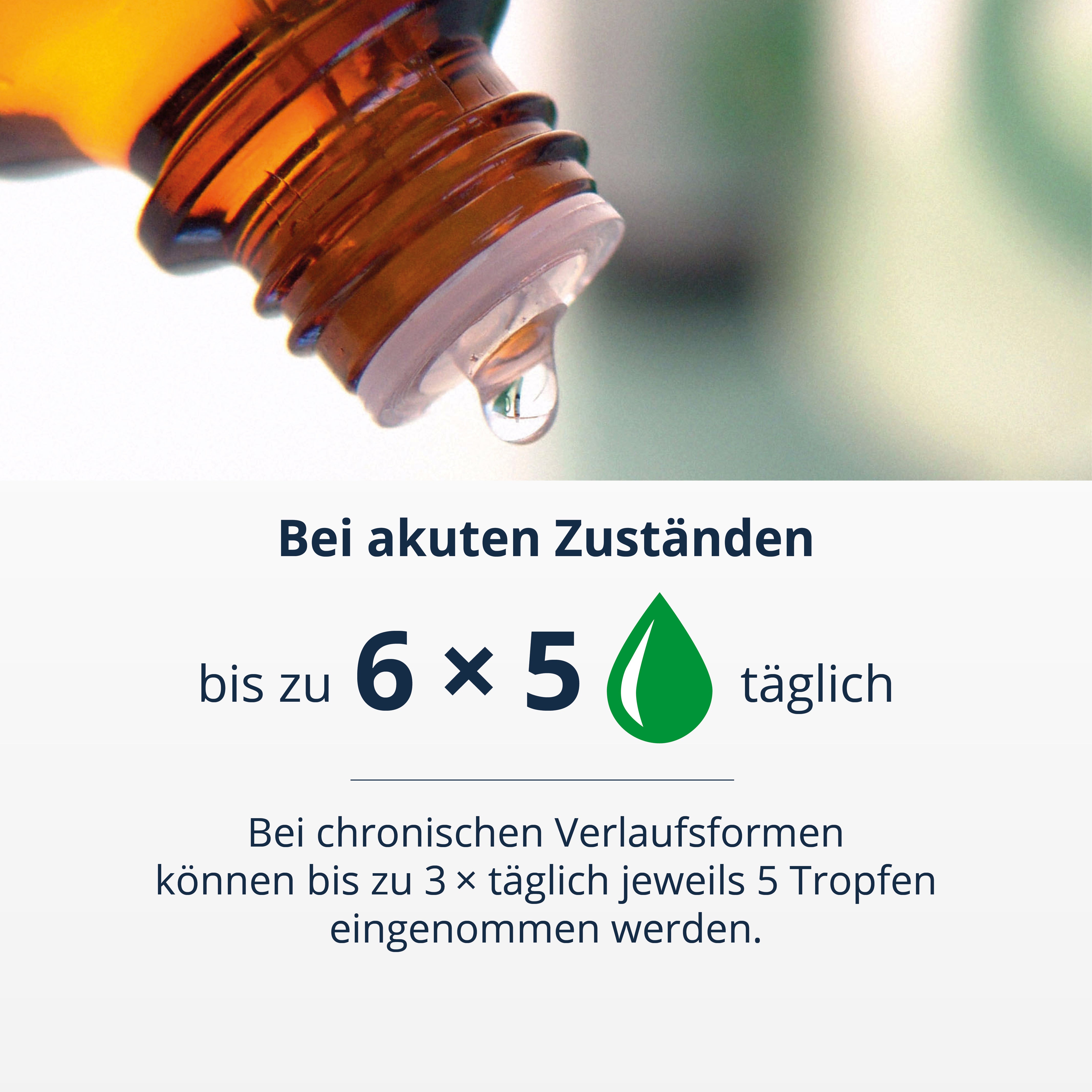 Braune Glasflasche mit Tropfverschluss und Dosierungsanleitung nebenbei.