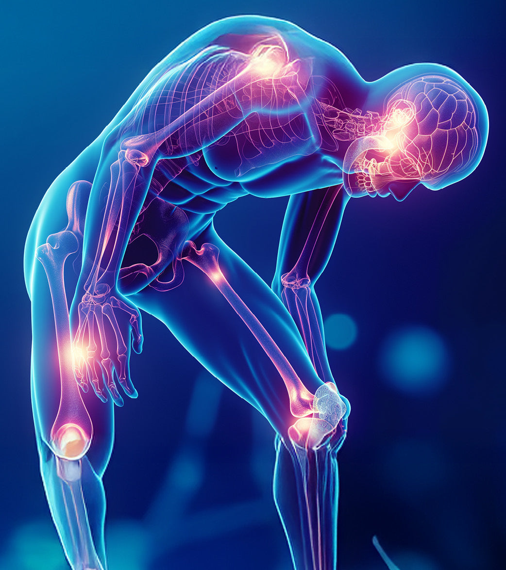 Halbtransparente menschliche Figur mit sichtbaren Gelenken und Skelettstruktur vor blauem Hintergrund