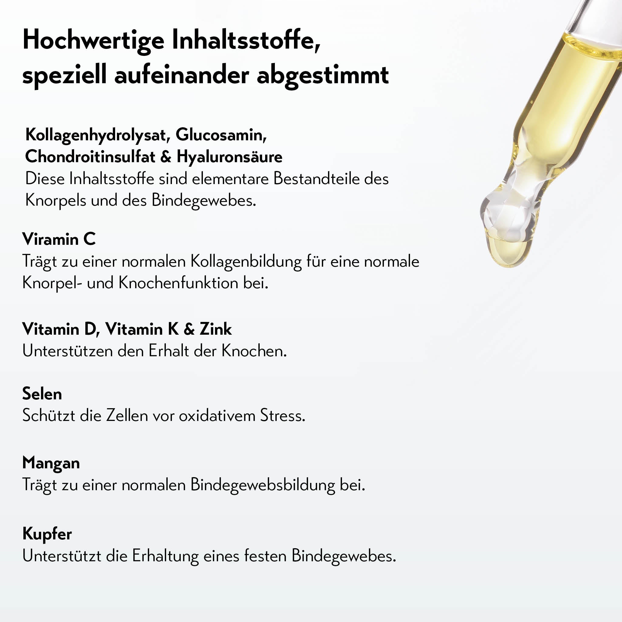 Hochwertige Inhaltsstoffe wie Kollagenhydrolysat und Vitamine für Knorpelgesundheit neben Pipette mit Flüssigkeit