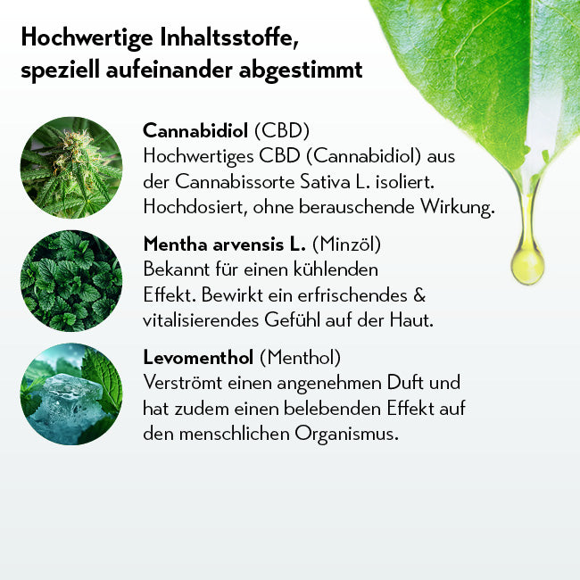 Öltröpfchen an Blattspitze mit Cannabispflanze, Minzblatt und Menthol-Eiswürfeln, deutsche Beschreibung inkludiert.